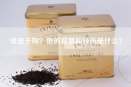 谁是于翔？他的背景和经历是什么？