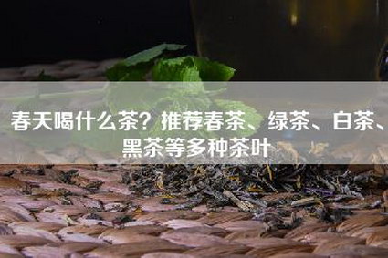 春天喝什么茶？推荐春茶、绿茶、白茶、黑茶等多种茶叶