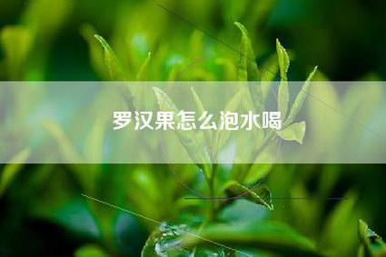 罗汉果怎么泡水喝