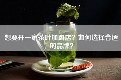 想要开一家茶叶加盟店？如何选择合适的品牌？