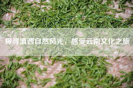 探寻滇西自然风光，感受云南文化之旅