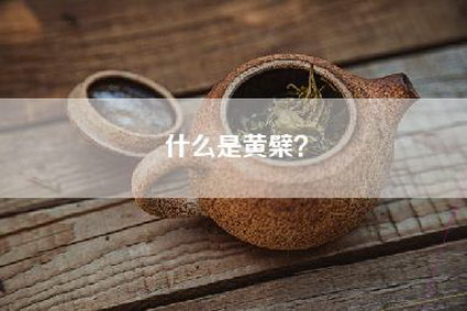 什么是黄檗？
