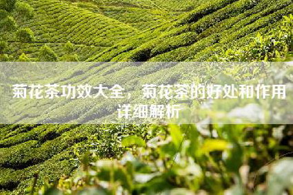 菊花茶功效大全，菊花茶的好处和作用详细解析