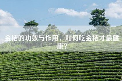 金桔的功效与作用，如何吃金桔才最健康？