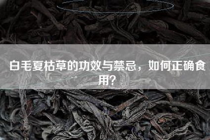 白毛夏枯草的功效与禁忌，如何正确食用？
