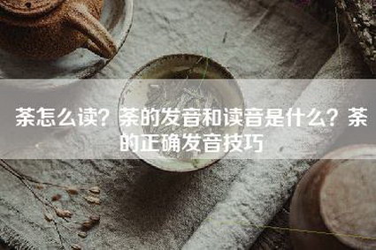 荼怎么读？荼的发音和读音是什么？荼的正确发音技巧