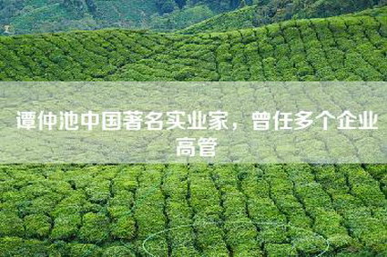 谭仲池中国著名实业家，曾任多个企业高管