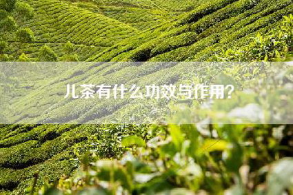儿茶有什么功效与作用？