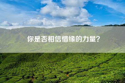 你是否相信惜缘的力量？