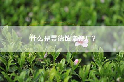 什么是景德镇陶瓷厂？