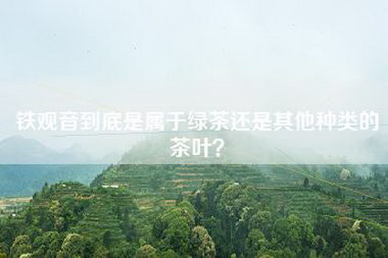 铁观音到底是属于绿茶还是其他种类的茶叶？