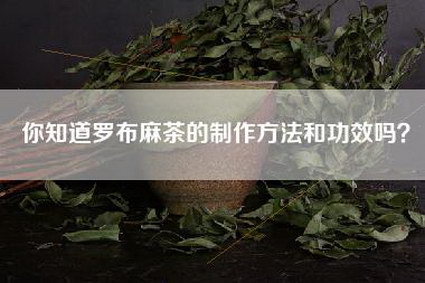 你知道罗布麻茶的制作方法和功效吗？