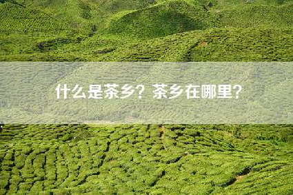 什么是茶乡？茶乡在哪里？