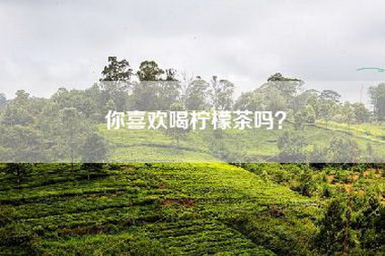 你喜欢喝柠檬茶吗？