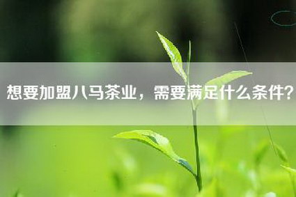 想要加盟八马茶业，需要满足什么条件？