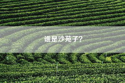 谁是沙苑子？