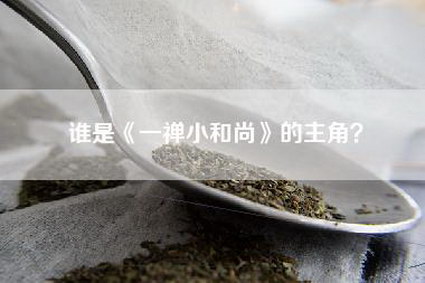 谁是《一禅小和尚》的主角？