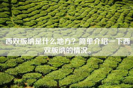 西双版纳是什么地方？简单介绍一下西双版纳的情况。