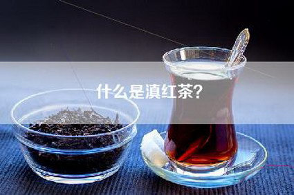 什么是滇红茶？
