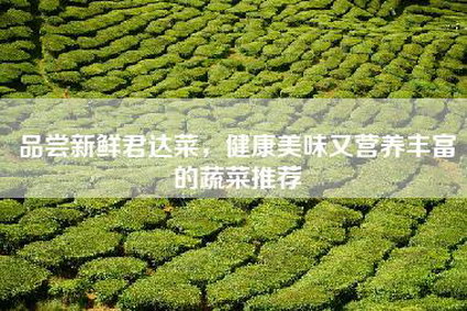 品尝新鲜君达菜，健康美味又营养丰富的蔬菜推荐