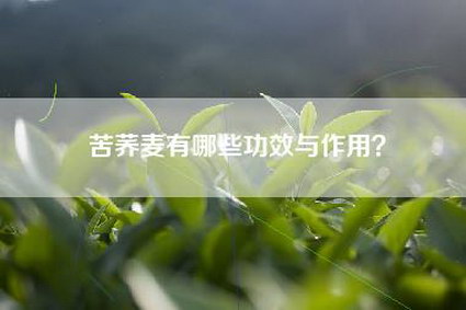 苦荞麦有哪些功效与作用？