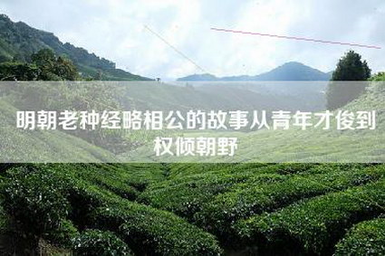 明朝老种经略相公的故事从青年才俊到权倾朝野