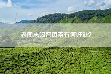 老同志喝普洱茶有何好处？