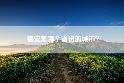 福安是哪个省份的城市？