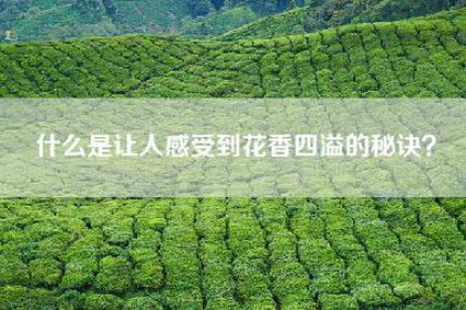 什么是让人感受到花香四溢的秘诀？