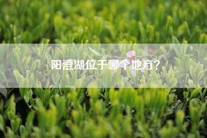 阳澄湖位于哪个地方？