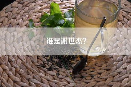 谁是谢世杰？