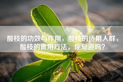 酸枝的功效与作用，酸枝的适用人群，酸枝的食用方法，你知道吗？