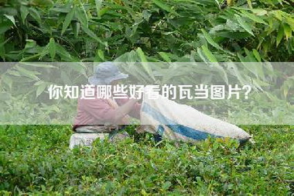 你知道哪些好看的瓦当图片？