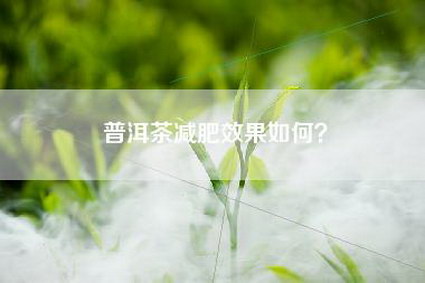 普洱茶减肥效果如何？