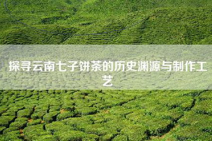 探寻云南七子饼茶的历史渊源与制作工艺