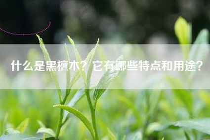 什么是黑檀木？它有哪些特点和用途？