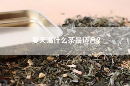 夏天喝什么茶最适合？