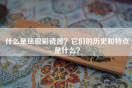 什么是珐琅彩瓷器？它们的历史和特点是什么？
