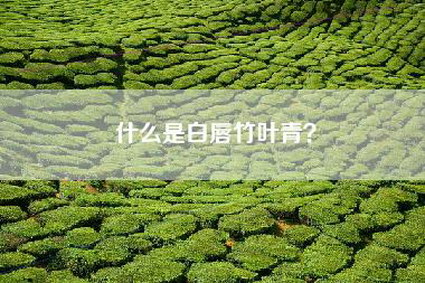 什么是白唇竹叶青？