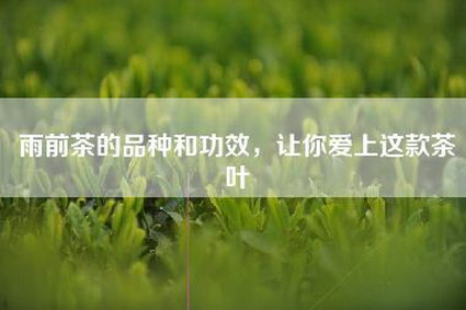 雨前茶的品种和功效，让你爱上这款茶叶