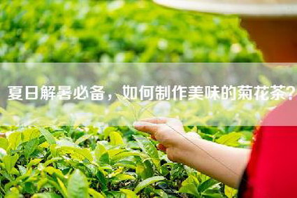 夏日解暑必备，如何制作美味的菊花茶？