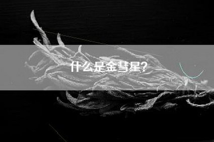 什么是金彗星？