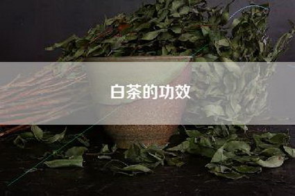 白茶的功效