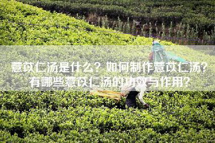 薏苡仁汤是什么？如何制作薏苡仁汤？有哪些薏苡仁汤的功效与作用？