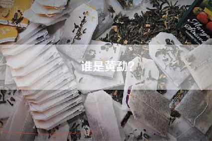 谁是黄勐？