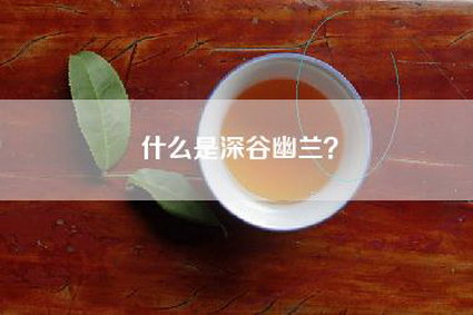 什么是深谷幽兰？