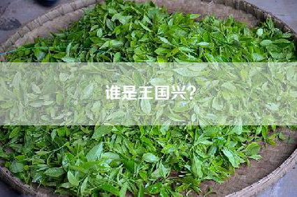 谁是王国兴？