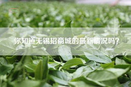 你知道无锡招商城的最新情况吗？