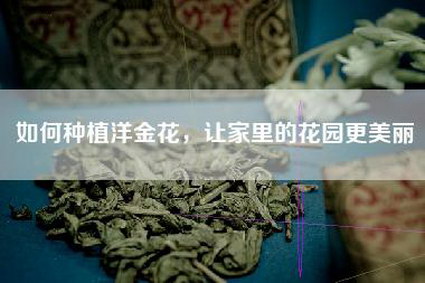 如何种植洋金花，让家里的花园更美丽