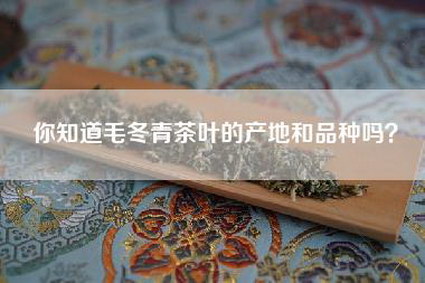 你知道毛冬青茶叶的产地和品种吗？